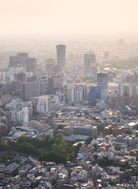 Environmental Report Image