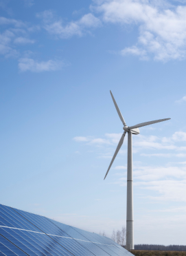 Environmental Report Image