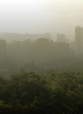 Environmental Report Image